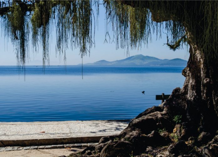 90166572_3173451576000827_8627890111347949568_o