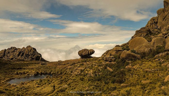 IMAGEM MALAS PRONTAS- PEDRA DA TARTARUGA - MARCELO DE PODESTÁ