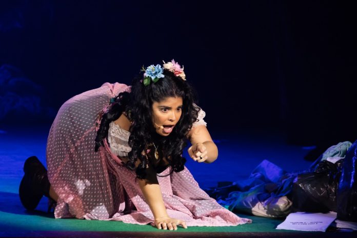 IMAGEM 1 PLATEIA 156